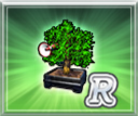 カクセイの木R・小.png